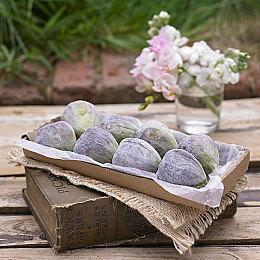 《原始袭变》动力装甲“村雨”介绍 明年正式发售